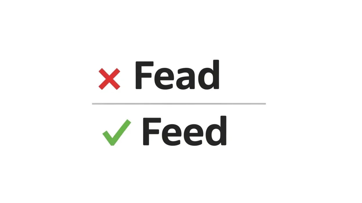 Fead vs Feed